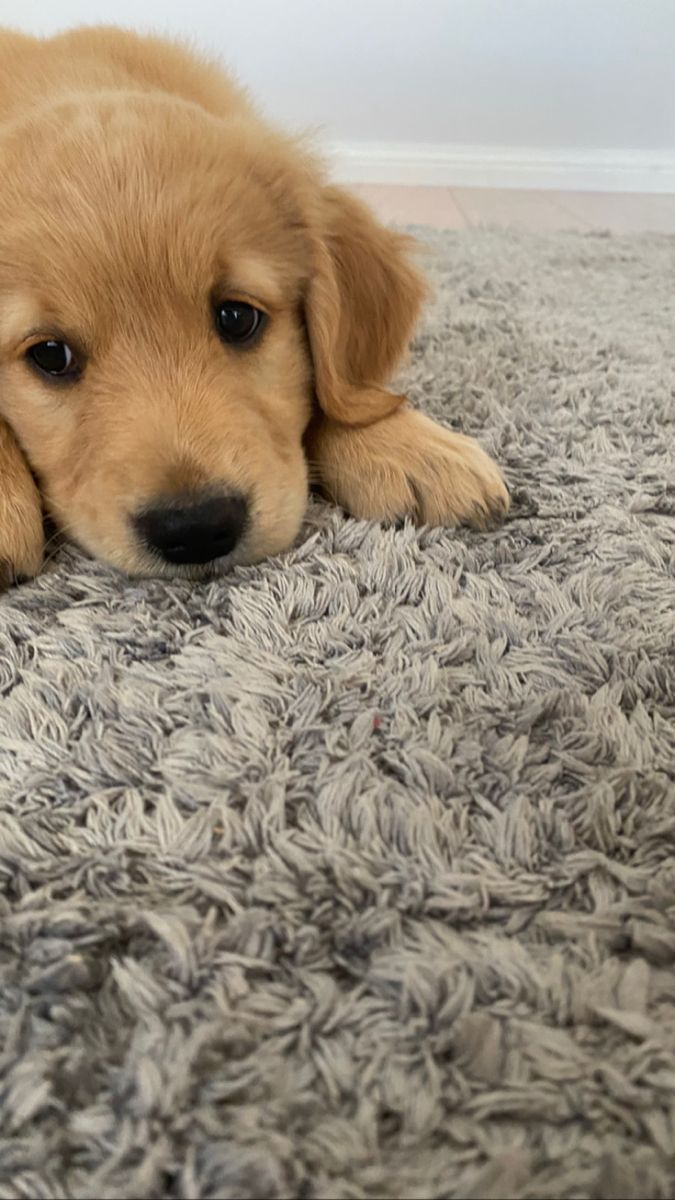 Best Of Photography (@graphiphoto) on Twitter photo 