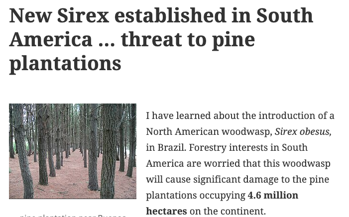 Jose Villacide tweet media