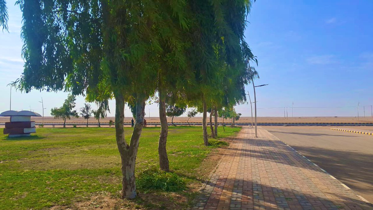 تواصل #بلدية_أم_خنصر أعمال قص النجيل وتقليم الأشجار ضمن جهودها في تحسين المشهد الحضري ورفع جودة المسطحات الخضراء في الأحياء والمرافق العامة.

#بلدية_أم_خنصر #أمانة_منطقة_الحدود_الشمالية