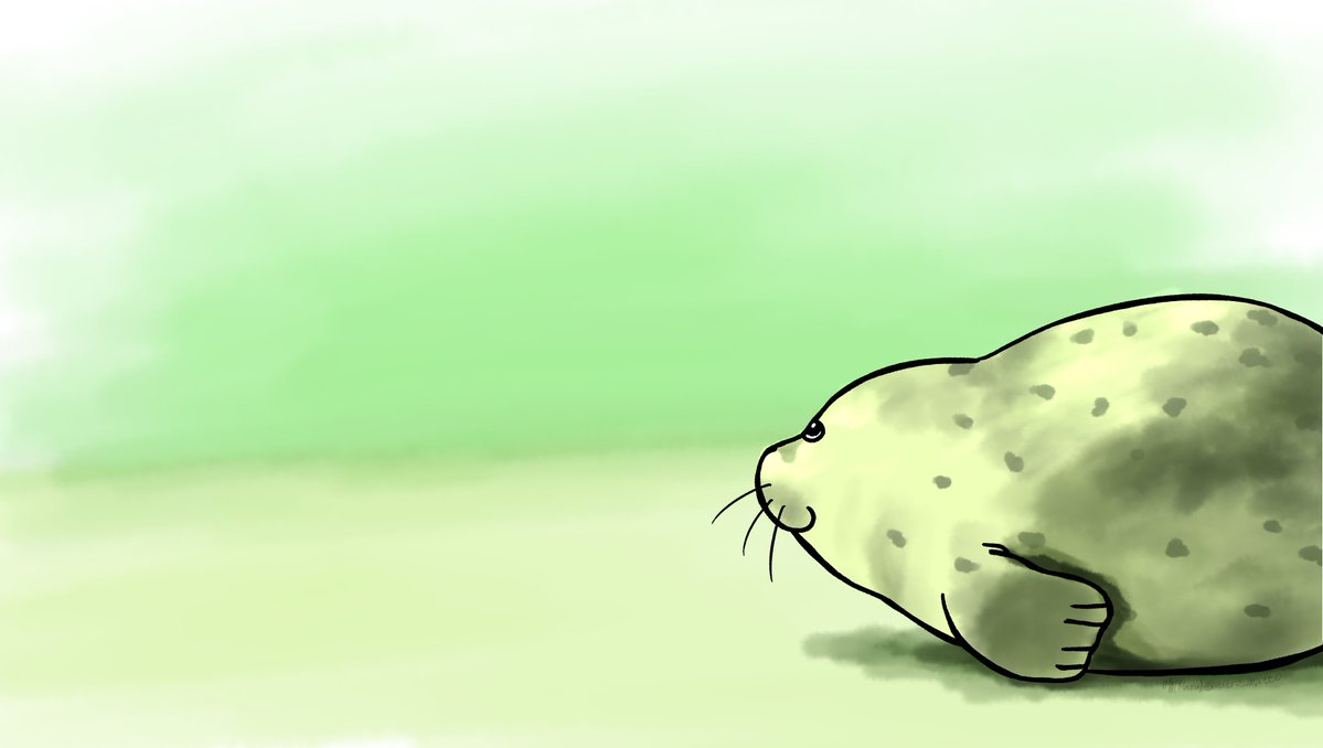 12/1の様子。水中から見る、12月の空はどんな感じ？

Dec 1. What does the December sky look like from down here?

Seals live | Phase 3 Underwater(水中ライブ配信)↓
youtube.com/live/Piyko9bD_…

#アザラシ幼稚園 #zeehondencentrum #Werelderfgoedcentrum #WECWaddenzee