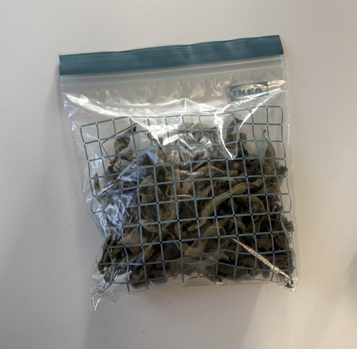 David Bonilla tweet media