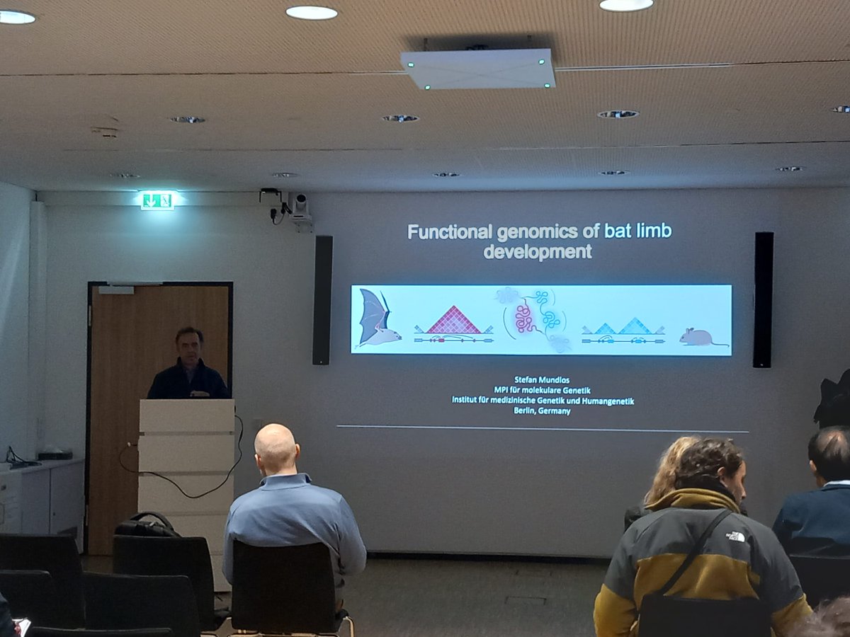 BatProtect tweet media