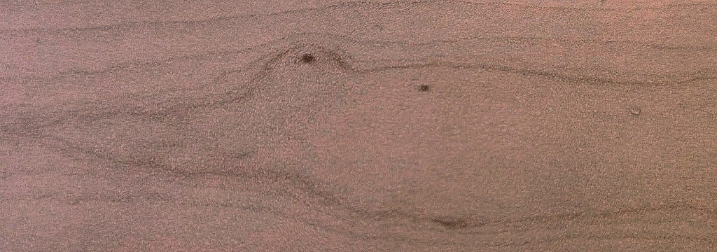 Das 🐣❤️ und ich diskutieren gerade, was hier zu sehen ist. Einig sind wir uns darüber, dass es aussieht wie ein Krokodil. 

Ich sehe allerdings noch etwas, wovon ich überzeugt war, dass er es auch sehen wird...macht er nicht. 

Könnt ihr es?