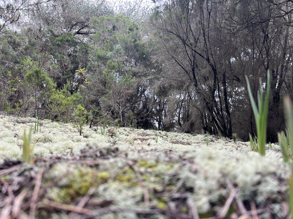 aroapeerez_'s tweet image. Enamorada del campo🍂🪾🍄‍🟫