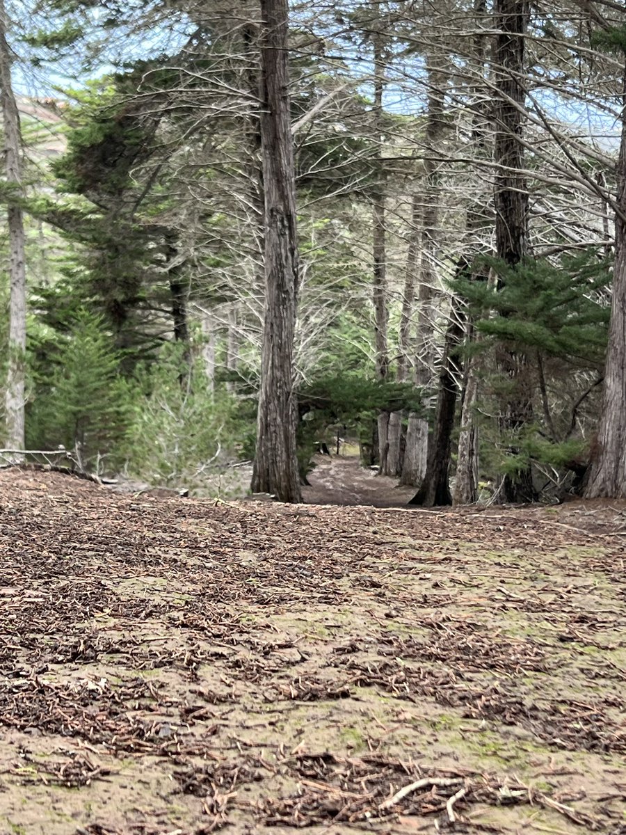 aroapeerez_'s tweet image. Enamorada del campo🍂🪾🍄‍🟫