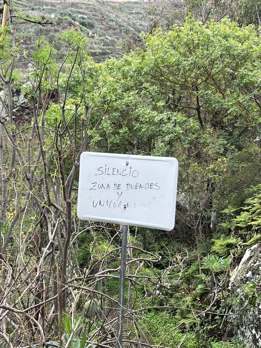 aroapeerez_'s tweet image. Enamorada del campo🍂🪾🍄‍🟫