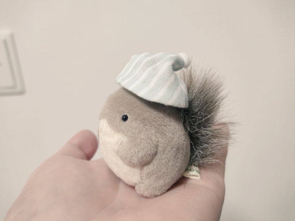 フニャラポワチのエゾリスさん（ <a href="/1083kcal/">のべつ</a> ）が少し前におうちに来てくれました🤟
かわいい……とーてもかわいい
ずっとお迎えしたかったので本当に嬉しい！
リスさんとエゾリスさんを並べるのが夢なのでリスさんとも今後ご縁があればいいな…！
のべつさま、ありがとうございました！