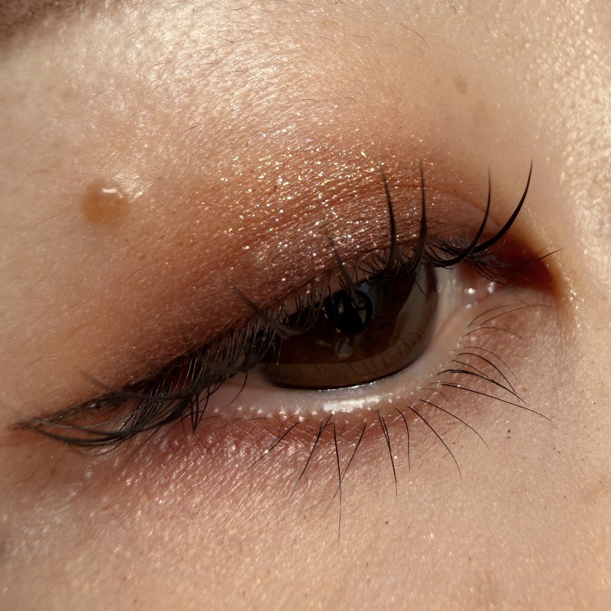 ayumiiii_083's tweet image. #今日のメイク
#Celvoke
#ヴァティックアイパレット EX14
#shuuemura
#クラッシュドジェム ペリドットゲイズ
⁡ペリドットゲイズの偏光が写らんかった🥲