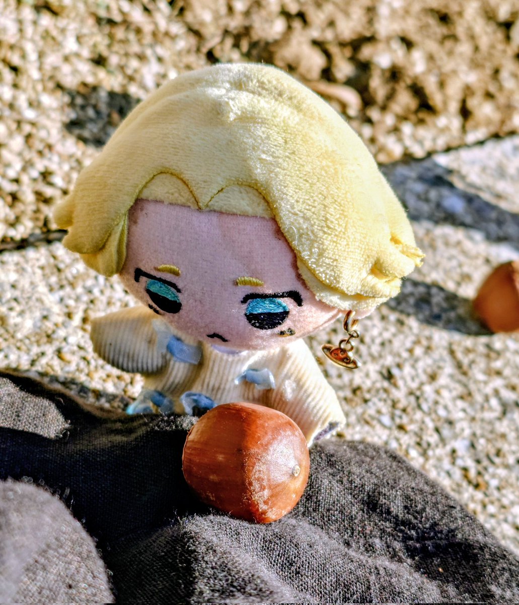 地獄の繁忙期の月初限界労働にて疲労困憊なので、再投ですが真剣にどんぐりを磨く乾を摂取しましょう。