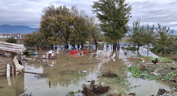 Doğa Derneği tweet media