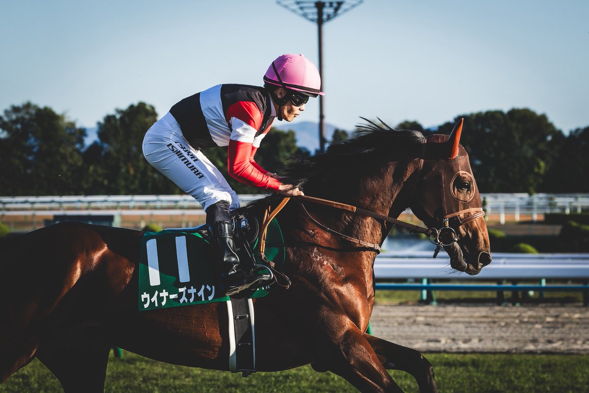 25/11/29 京都11R 第12回京都2歳ステークス(G3) #ウイナーズナイン