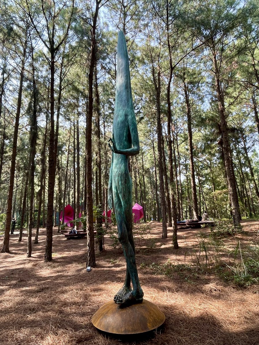 Naoki Ito tweet media