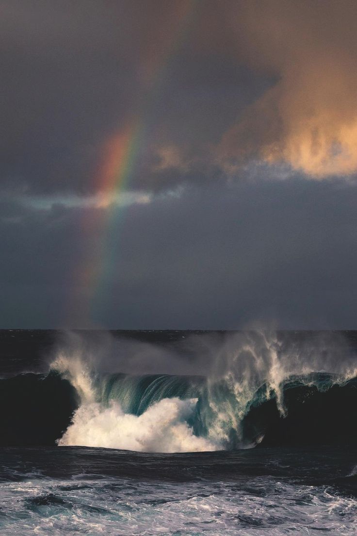 hawsett4's tweet image. 