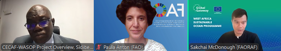 piaulia's tweet photo. Launched today the @FAO_CECAFCOPACE-WASOP project aiming to present the overall project and get feedback from project partners, member countries representatives and technical implementers; with opening statements from @FAOAfrica
and @EUinGHANA 😃🐟👏 https://t.co/VuUu03ALER