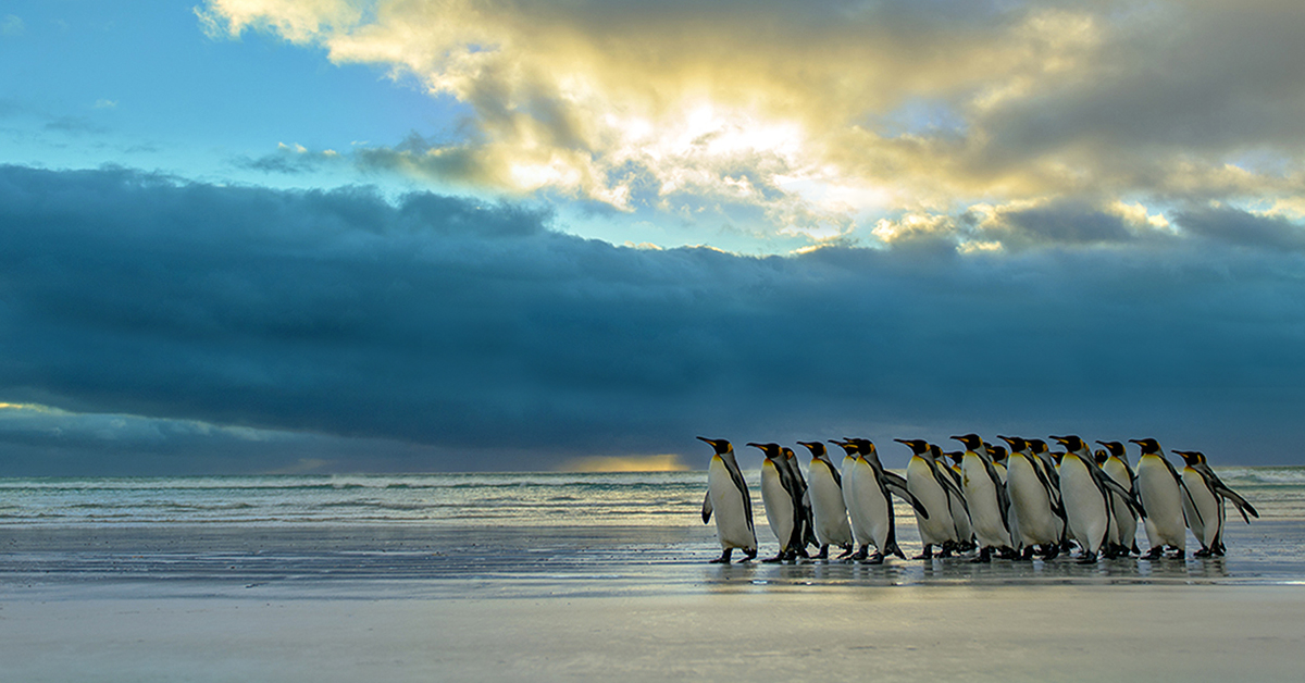 LPIConnectJA's tweet image. 🌟公式Youtubeおすすめ動画🌟

「動画で解説！Windows・Mac・Chromebook上で仮想化ソフトに頼らないLinux環境の作成」を公開中です🎥

VirtualBox,VMware等の仮想環境に頼らず、手持ちPCでLinuxコマンドを使用する方法は？👀✨
youtu.be/WyY_62EMnpc

#IT初心者 #駆け出しエンジニアと繋がりたい