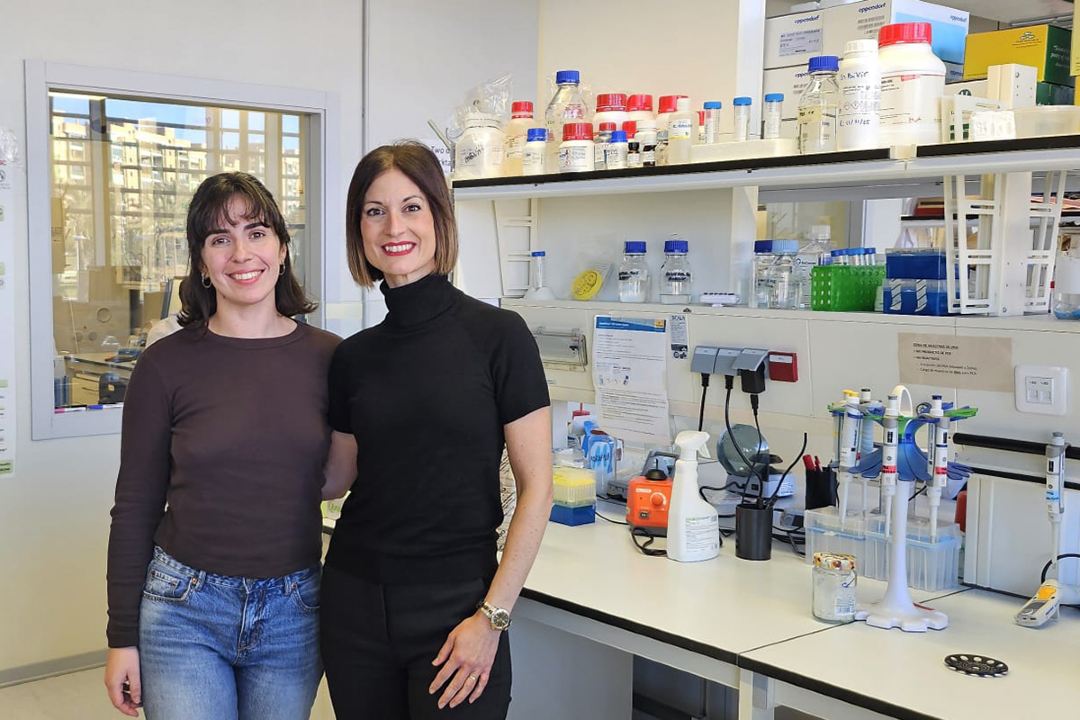 asociacionruvid's tweet image. 🦠 Algunos virus evolucionan y se adaptan para infectar nuevas bacterias tinyurl.com/msy7y6ae

Estudio liderado por Celia Ferriol-González y Pilar Domingo-Calap, investigadoras del Instituto de Biología Integrativa de Sistemas (CSIC-UV).