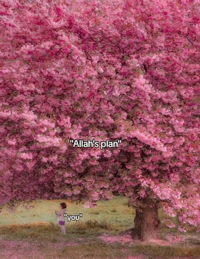 Trust in Allah’s plan