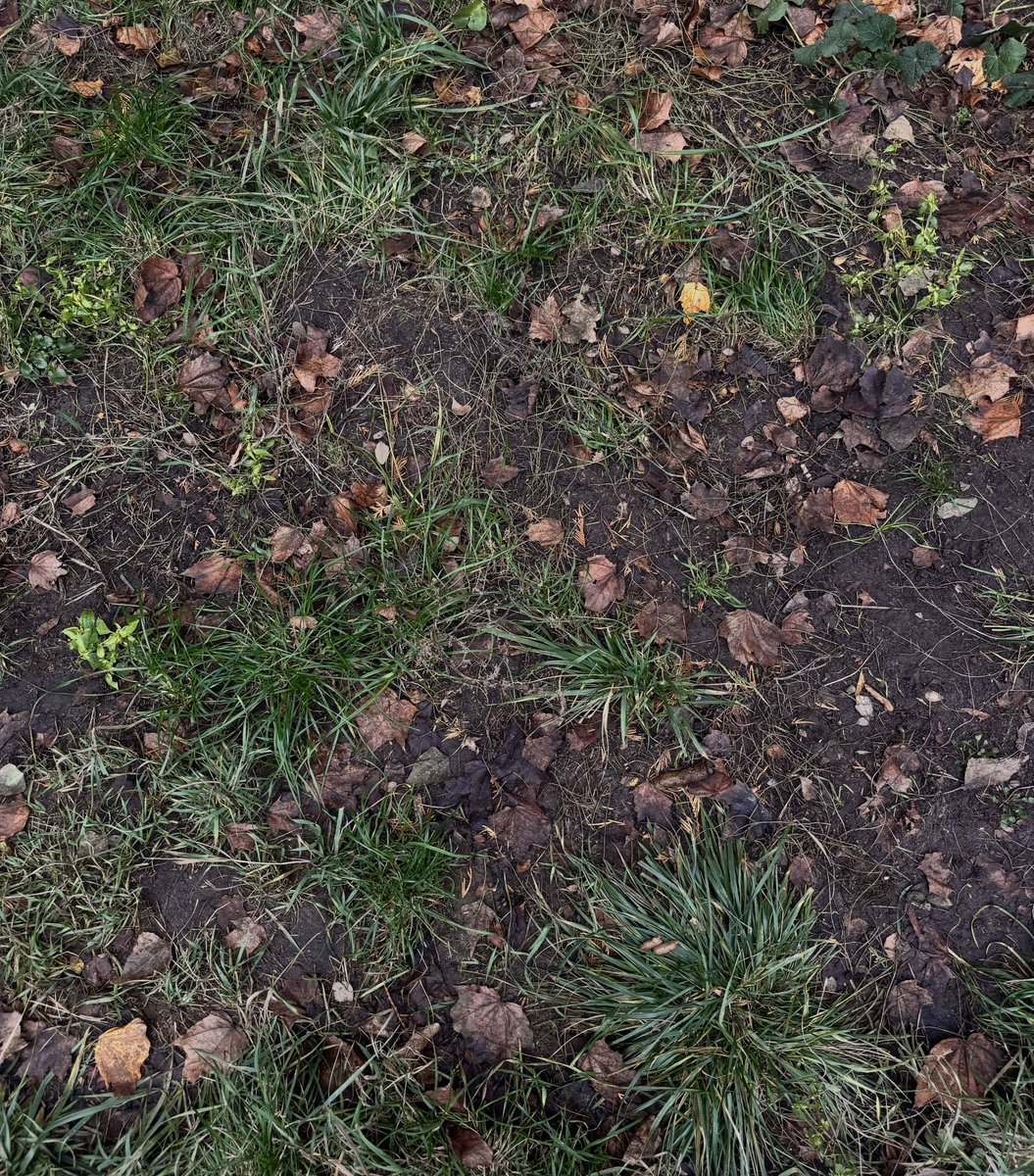 люди, які не прибирають гімно за своїми собаками, ви реально думаєте, що його можна побачити і обійти?