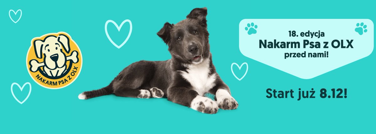 🦮Już dziś rusza akcja OLX "Nakarm Psa"! 

To coroczna charytatywna inicjatywa, w której każdy może pomóc zwierzakom ze schronisk.
Wystarczy wejść na stronę akcji, wybrać zwierzaka  i napełnić wirtualną miskę.
Gdy miska się zapełni, OLX przekazuje prawdziwą karmę do schroniska.