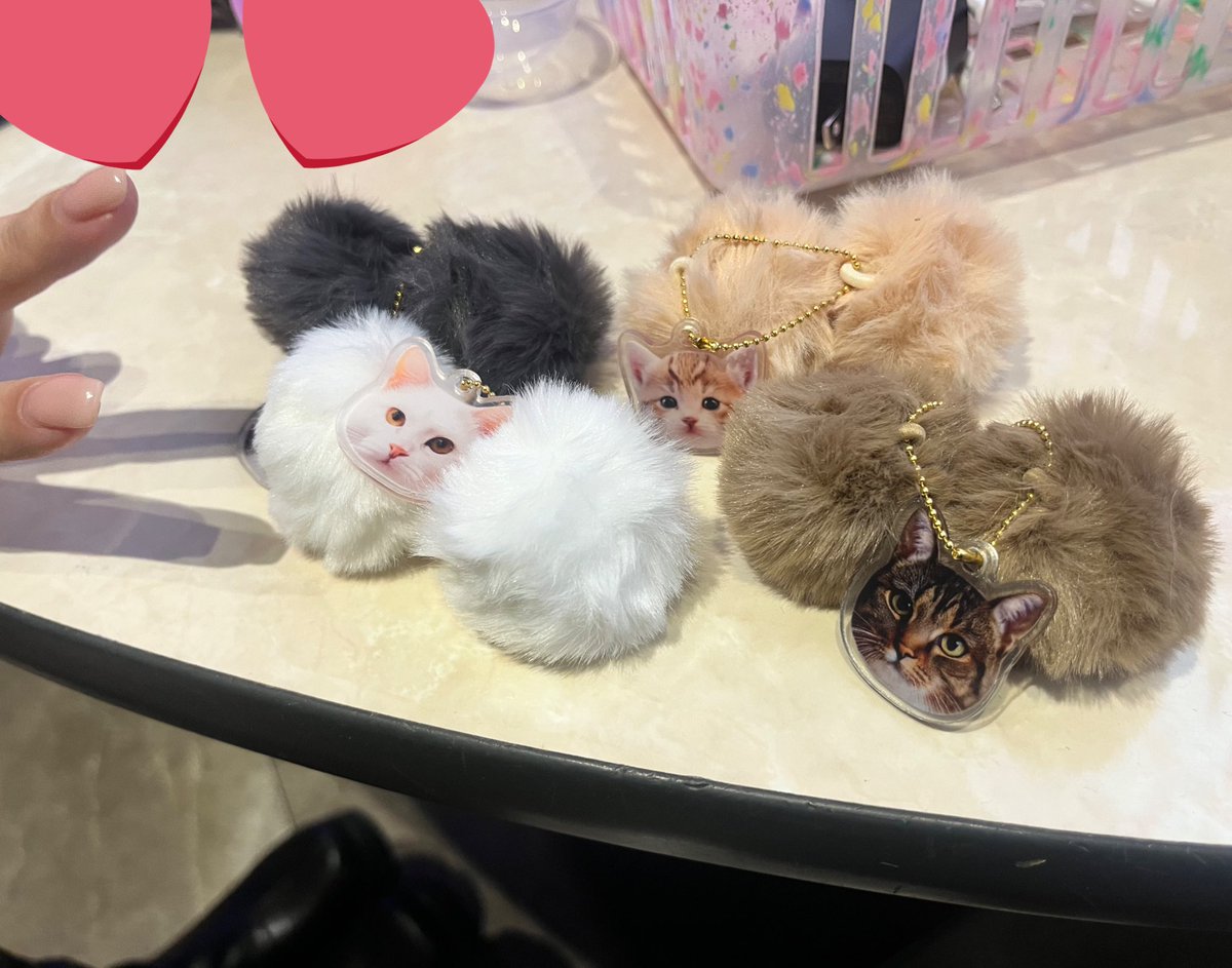 にゃんたま's🐈