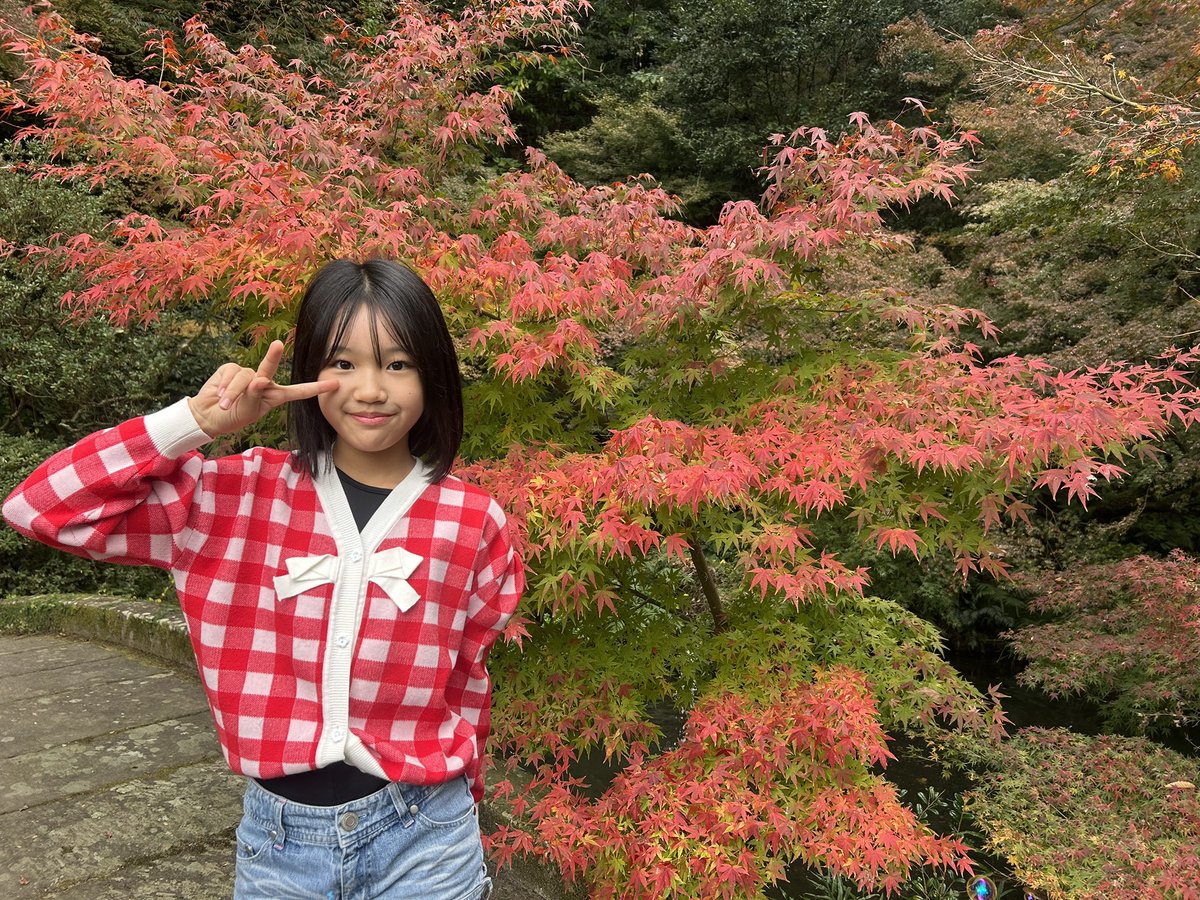 ジュエル❤️クワガタキッズ (@Jewel0110juju) / Posts / X