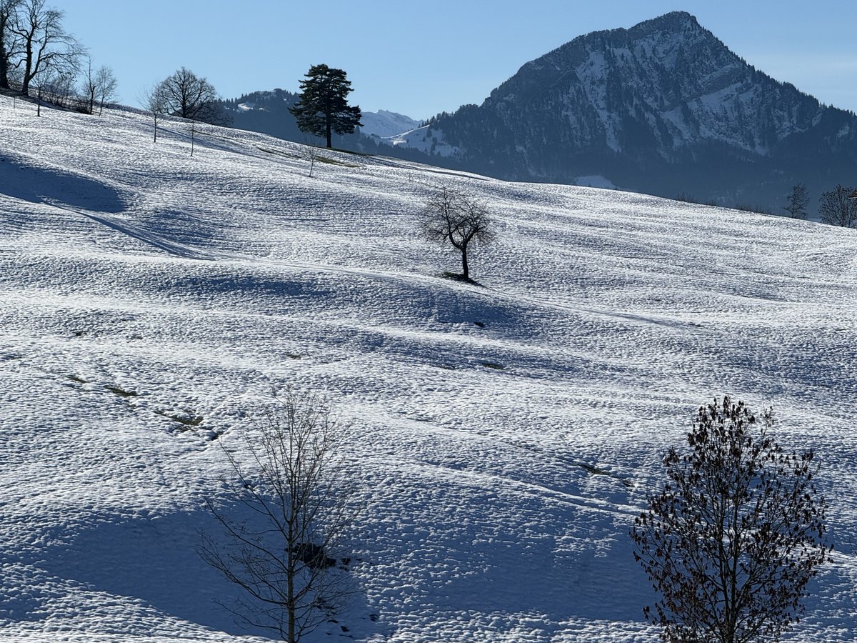 Kachelmann's tweet photo. Wenn die kleinen Schmelzwasserbächlein unter der oberflächlich gefrorenen Schneedecke durchlaufen, gibt das dem Ganzen Struktur.

Das ist aber schon der einzige Vorteil. https://t.co/7gkAVxW18I