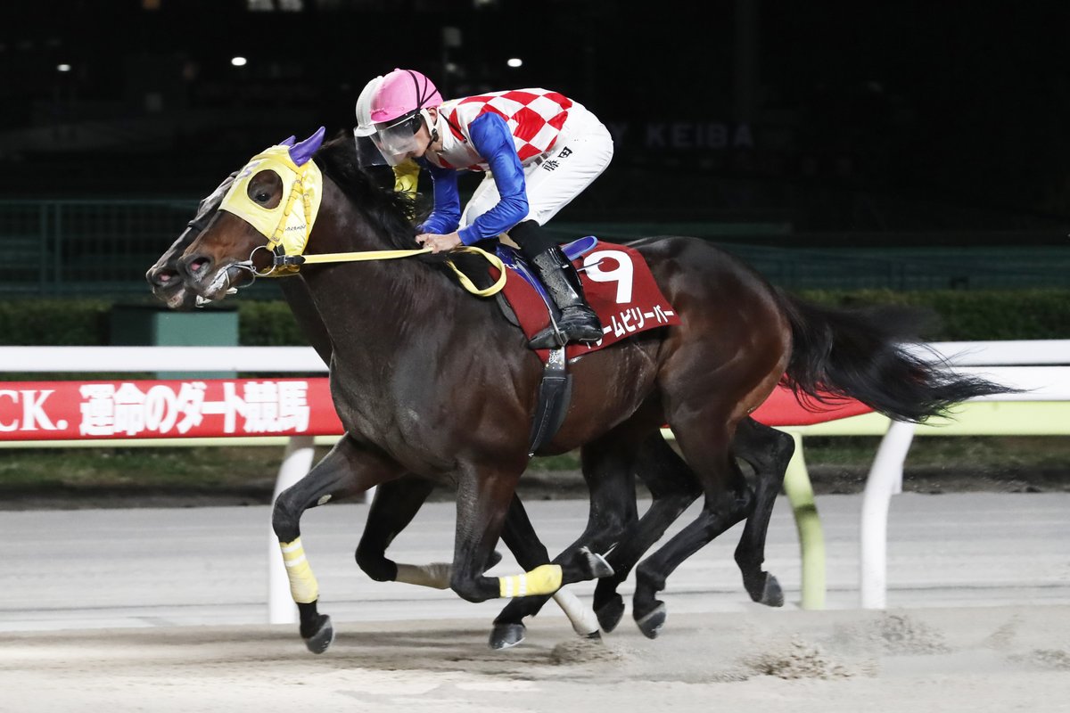 ビオラ賞の優勝馬は、#TCK の #ドリームビリーバー (藤田凌J/阪本一S)🥇

スタートから4角までは馬群後方で展開をうかがい、直線を向いて外に持ち出すと、一気に脚を伸ばして実績馬たちをまとめて差し切りました！

関係者の皆様、おめでとうございます🎉