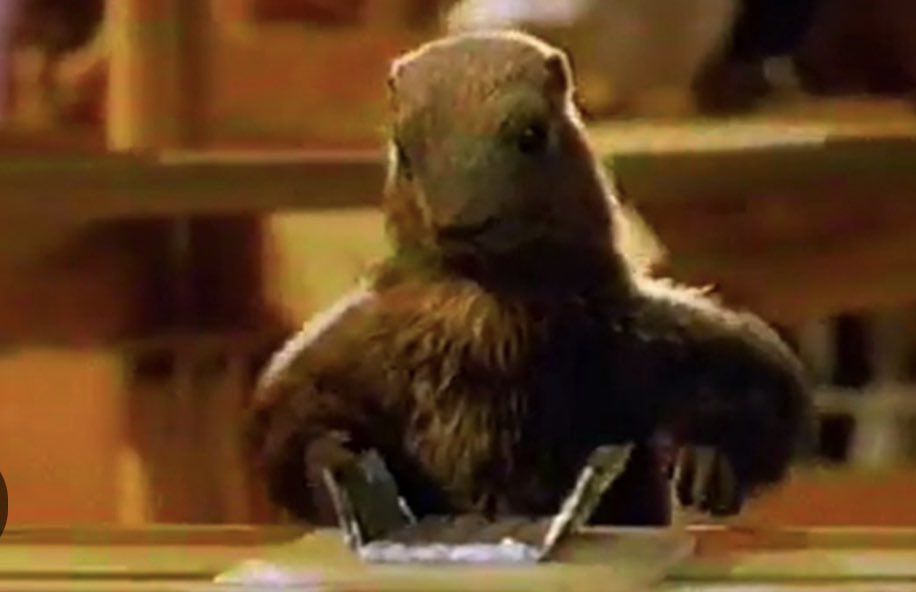 VictorSinclair3's tweet image. Il fait abattre des troupeaux.
Il a passé son temps à vous appauvrir
Il a bradé tous les fleurons industriels
Il a injecté un poison et puni ceux qui n’en voulaient pas.
Il a livré la France aux marchés via la dette.
Et là il défendrait vos intérêts en Ukraine ?
Mais bien sûr !!!