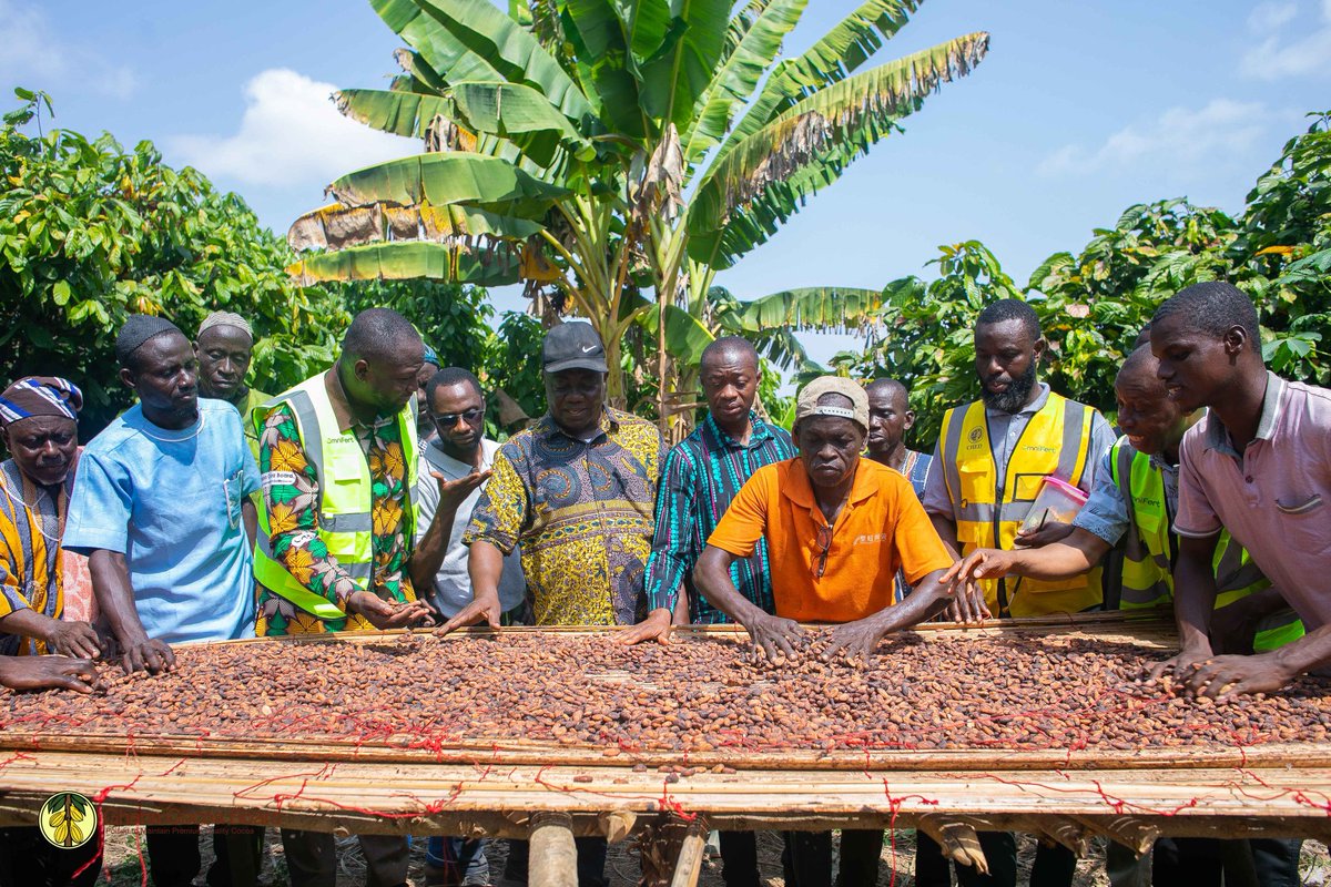 ghcocobod's tweet image. COCOBOD has recognised Mohammed Anchala for achieving the first successful #cocoa cultivation in Nanumba North. Dr Francis Baah and a team of scientists visited his two-acre farm in #Bimbilla to commend this significant breakthrough.