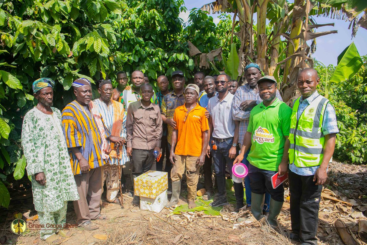 ghcocobod's tweet image. COCOBOD has recognised Mohammed Anchala for achieving the first successful #cocoa cultivation in Nanumba North. Dr Francis Baah and a team of scientists visited his two-acre farm in #Bimbilla to commend this significant breakthrough.