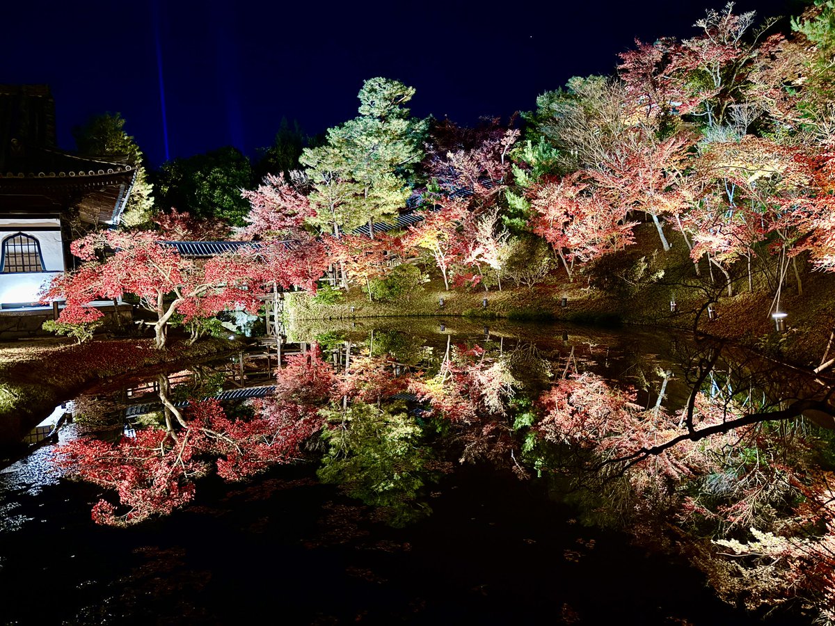 2025/11/29 京都東山 高台寺 紅葉

#京都 #紅葉 #高台寺