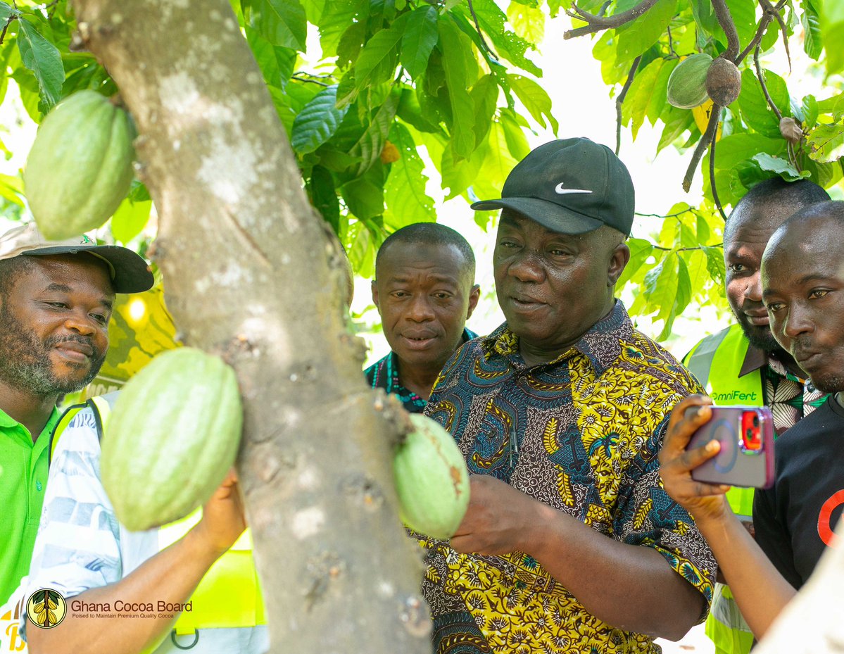 ghcocobod's tweet image. COCOBOD has recognised Mohammed Anchala for achieving the first successful #cocoa cultivation in Nanumba North. Dr Francis Baah and a team of scientists visited his two-acre farm in #Bimbilla to commend this significant breakthrough.