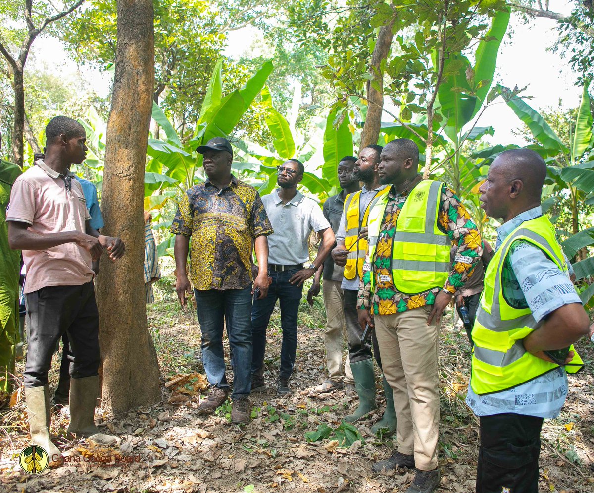 ghcocobod's tweet image. COCOBOD has recognised Mohammed Anchala for achieving the first successful #cocoa cultivation in Nanumba North. Dr Francis Baah and a team of scientists visited his two-acre farm in #Bimbilla to commend this significant breakthrough.