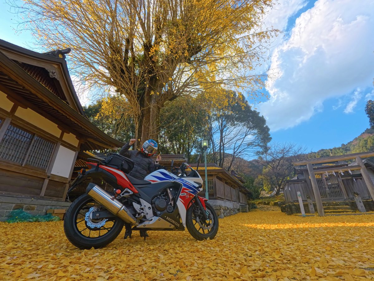 なつこ :p🧡🐵🇫🇷🐎🟡四国一周制覇 (@7a2co) / Posts / X