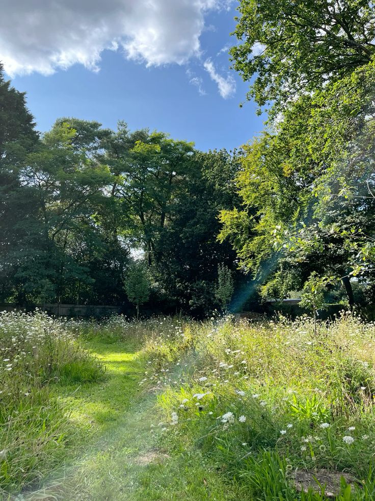 Wa-Bush (@bondzabby) on Twitter photo 