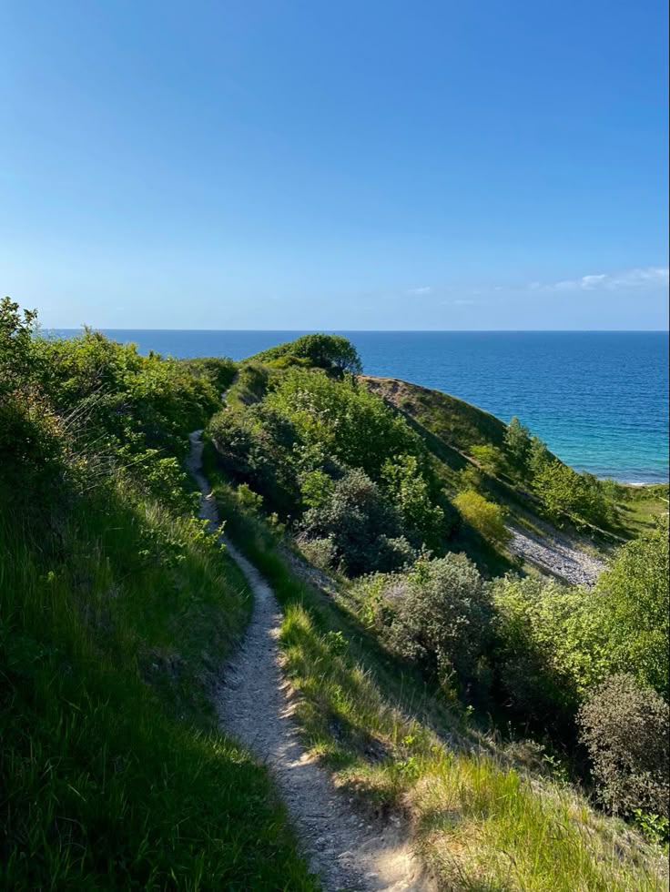 Wa-Bush (@bondzabby) on Twitter photo 