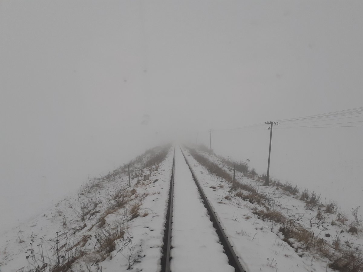 Radosław Palmowski tweet media