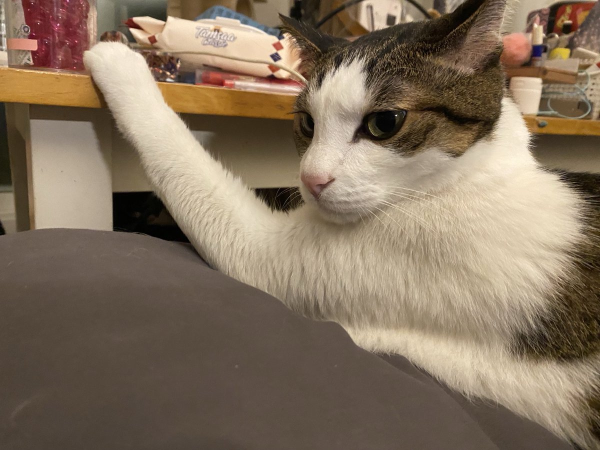 애기야 밥먹을래 나랑 사귈래