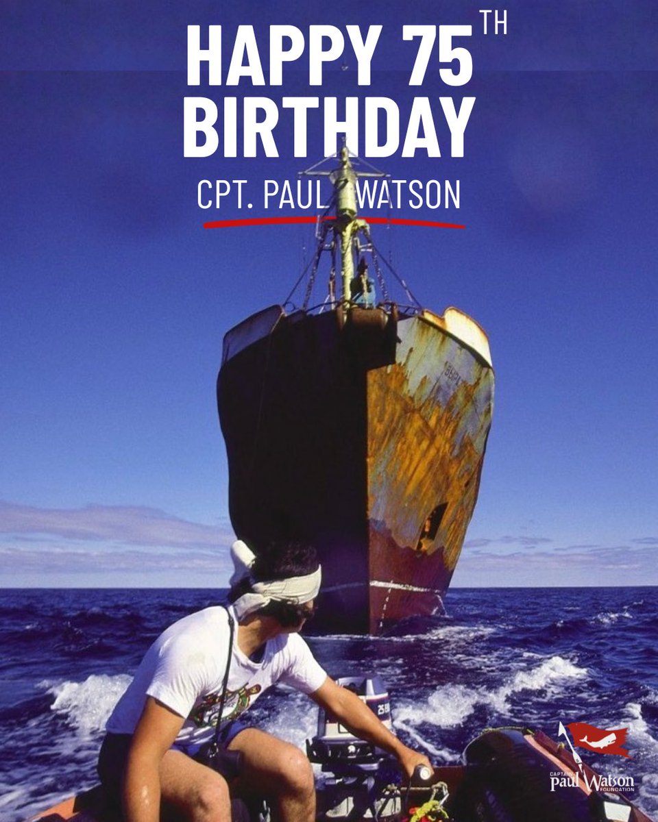 CaptPaulWatson's tweet photo. 🌊💙 Happy 75th Birthday, Captain Paul Watson 💙🌊

Today we celebrate a life lived with purpose, a life that has meant something. 

https://t.co/zEtN7wpt6W https://t.co/8A0aFEUA7U