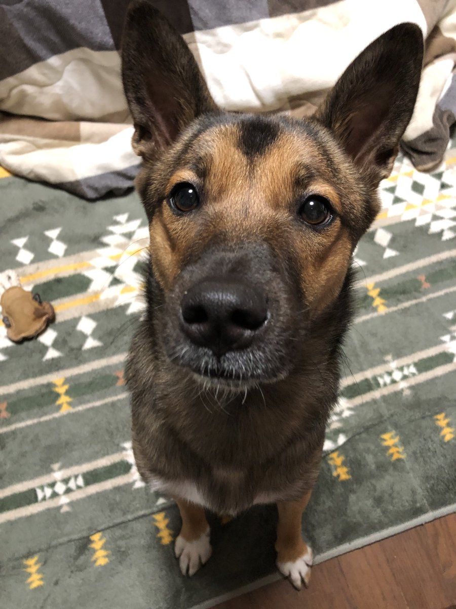 とんすけ (@tonsuke85) / Posts / X