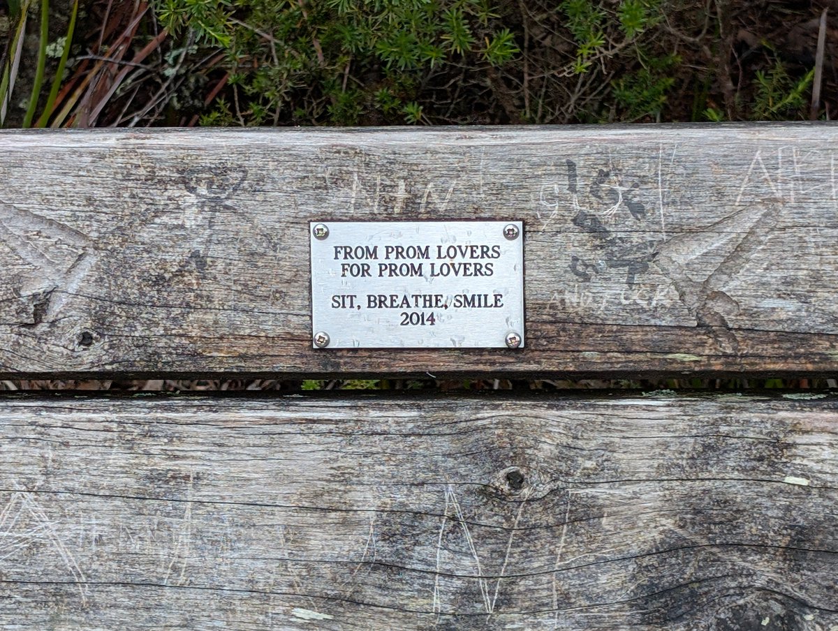 Managed to organize a camping trip just like I'd hoped and, even better, it was with some amazing friends! Had a great time and I'm genuinely proud of myself :3