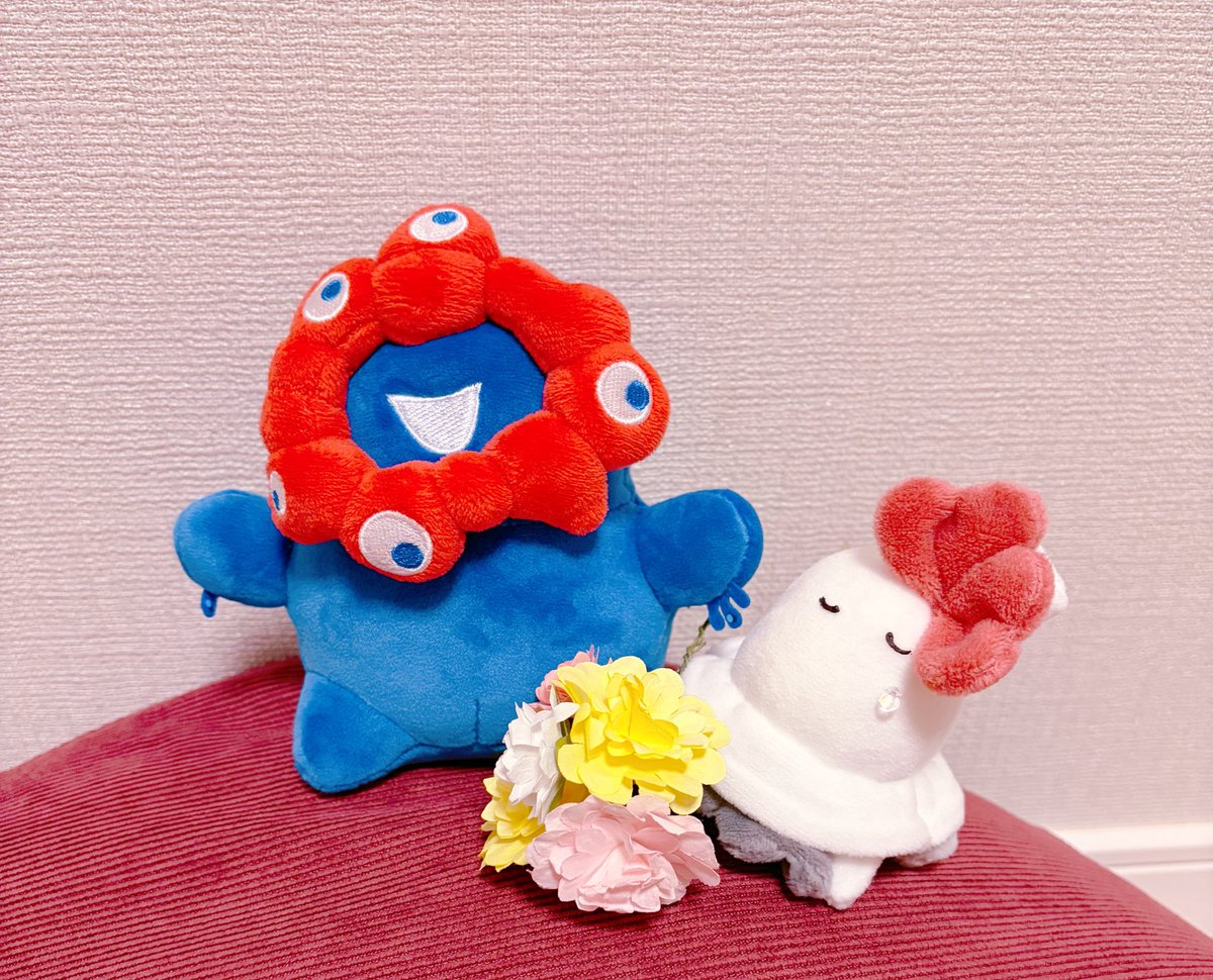 to49_nui's tweet photo. というわけで、どせい工房@dosei_kooboo 様からかわいい子がやって来ました！
手のひらでそっと包み込める大きさでso cute…💐ひと目ぼれした子だったのでお迎えできて嬉しいです。
素敵な��縁をありがとうございました！
 #どせい工房
#Boobouquet https://t.co/dRdwgFv8QD