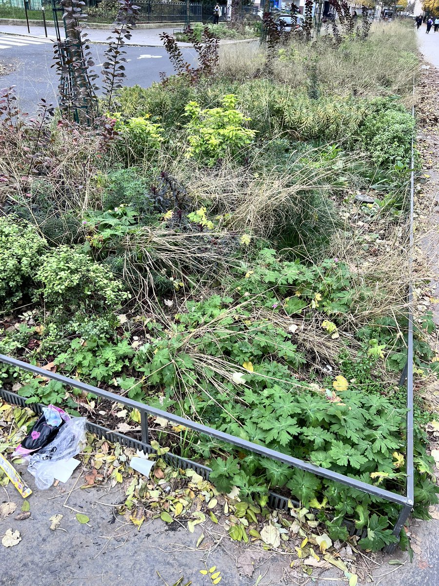 Rue de Lagny, Paris 20. 
Avant plantation (dégueulasse)  / après plantation (dégueulasse aussi). 

Quelqu’un pour rappeler à <a href="/C_Najdovski/">Christophe Najdovski</a> « quand on ne sait pas faire on ne fait pas »? 

Peter plus haut que leur cul, toujours. 
Avec l’argent des parisiens. #saccageparis