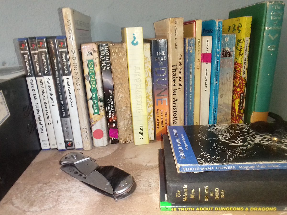 A small, orderly part of my world. #ps2classics #scifi  #poetry #books