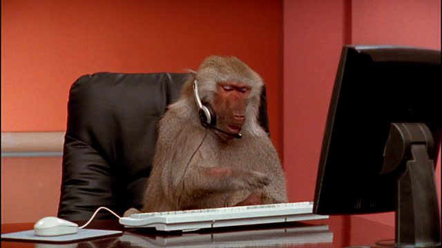 from humble beginnings to unforgettable wins

Anniversary vibes loading…

go on, make a wish I’m taking notes.