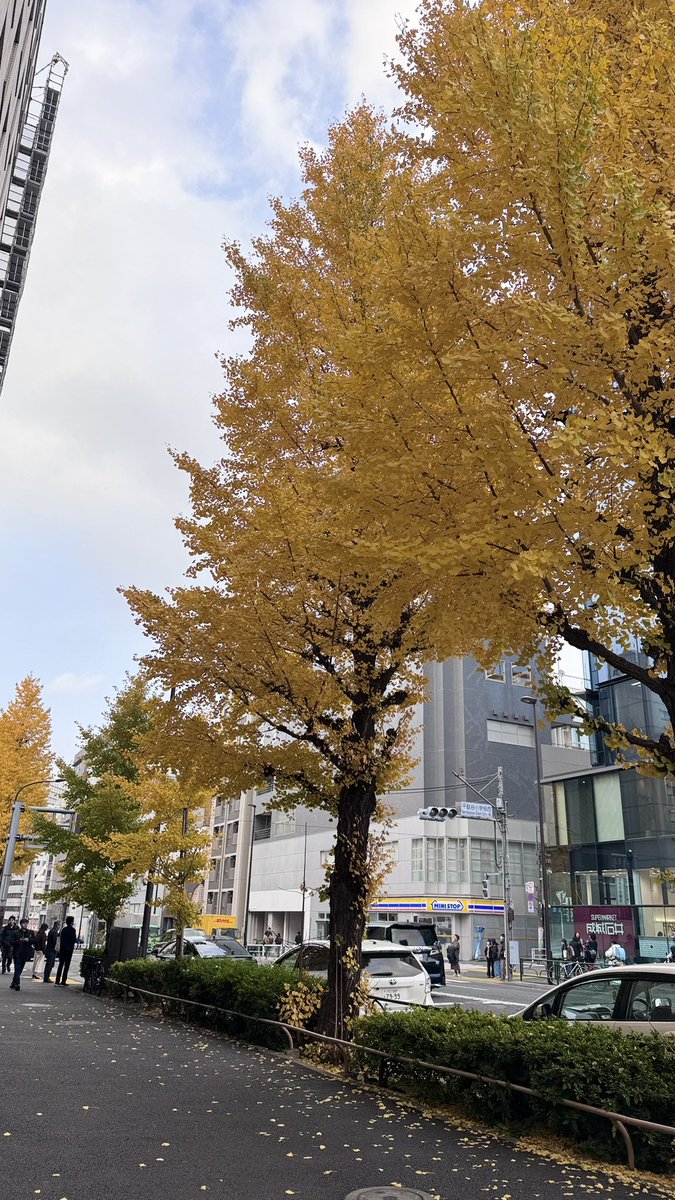 AmamiyaMaako tweet media