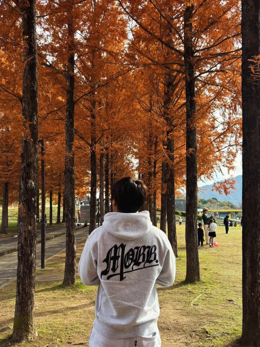 LOz2f3's tweet photo. シルビア壊れすぎて一旦休憩
#シルビア #silvia #紅葉 #植物園 https://t.co/QGADiZRdiV