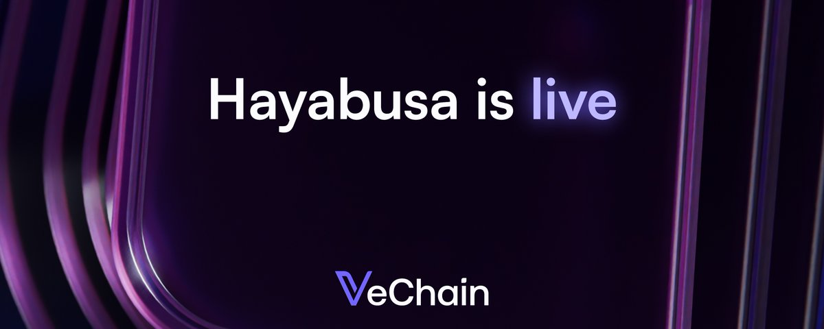 VeChain Hayabusa mainnet launch graphic from 99Bitcoins