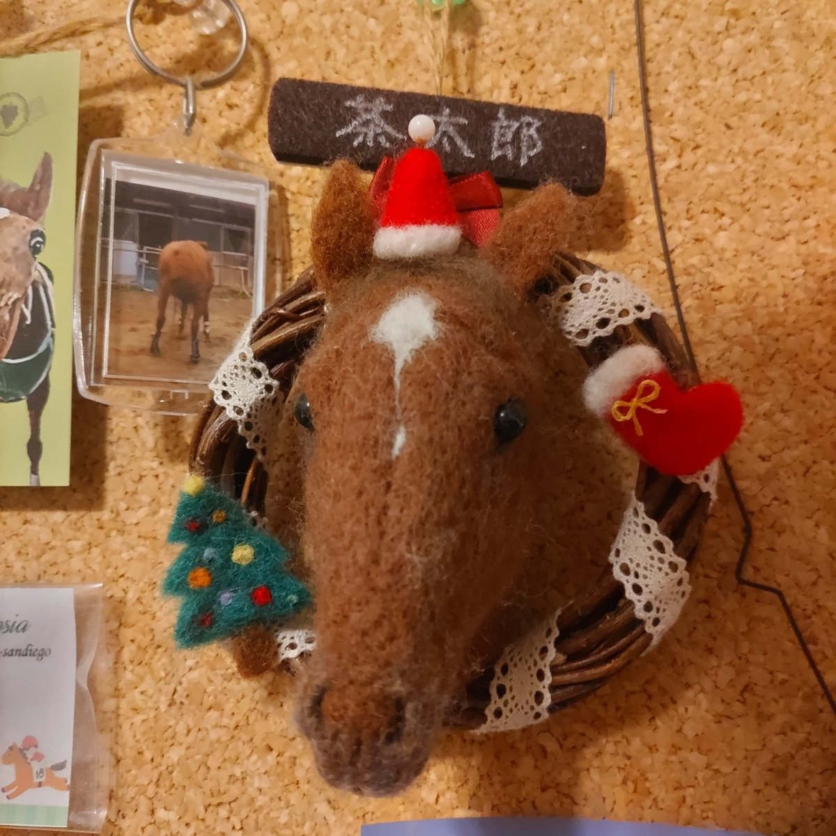 ちゃたろう 茶太郎 (@Chataro_A_Horse) / Posts / X