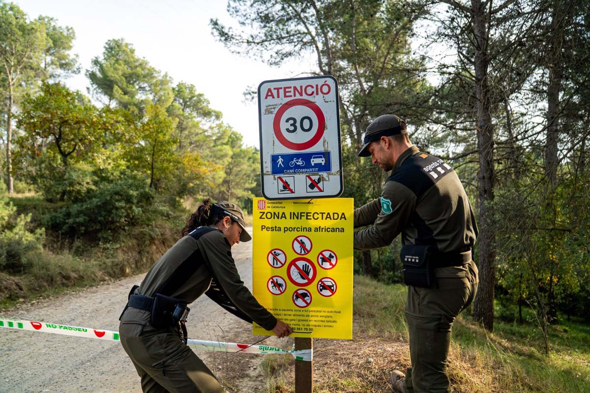 Maxideza tweet media